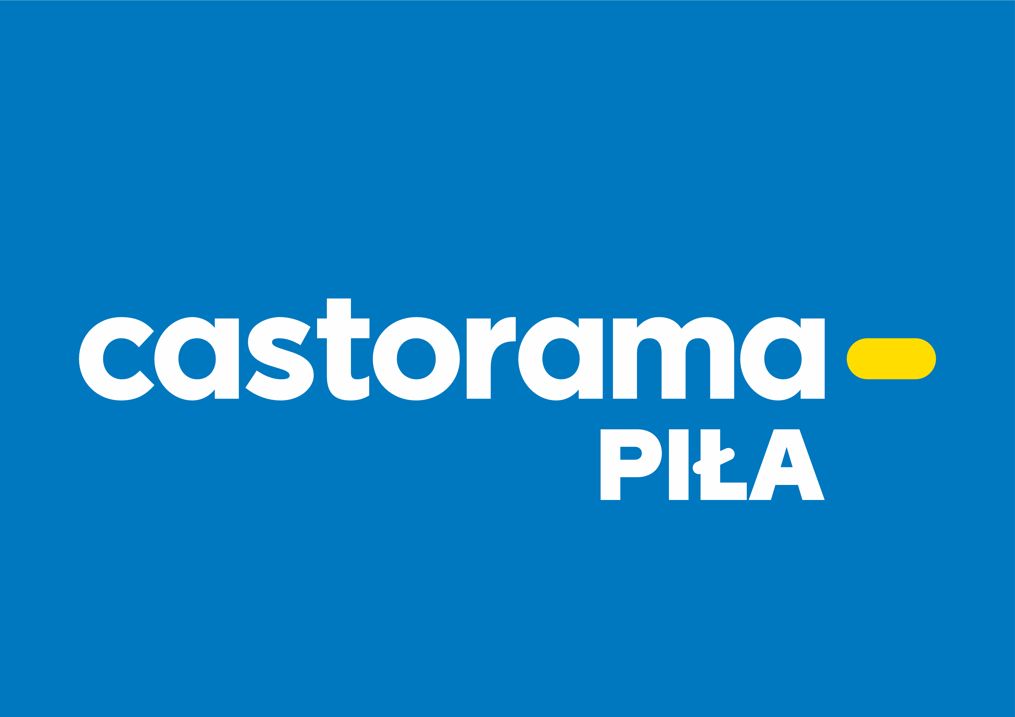 Logo Castorama Piła